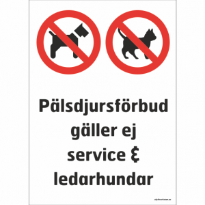 HUND KATT DJUR