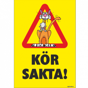 hund katt djur