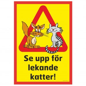 hund katt djur