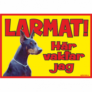 hund katt djur