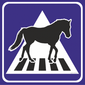 häst