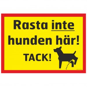 hund katt djur