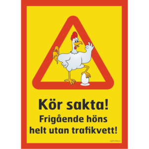 hund katt djur